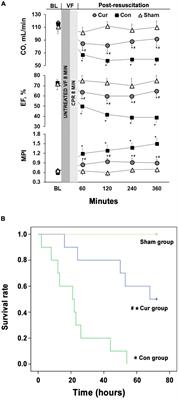 Curcumin Improves Cardiopulmonary Resuscitation Outcomes by Modulating Mitochondrial Metabolism and Apoptosis in a Rat Model of Cardiac Arrest
